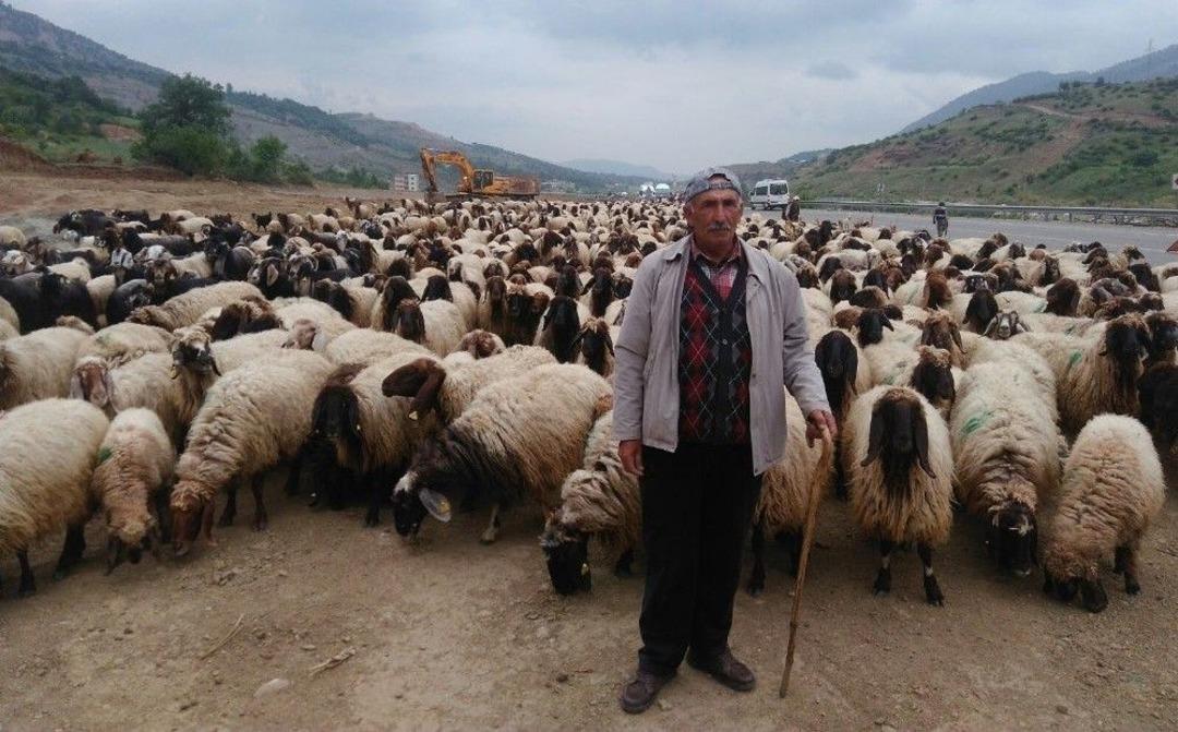 G&ouml;&ccedil;erler, Zorlu Yolculuğun Ardından Zoveser Dağına Ulaştı
