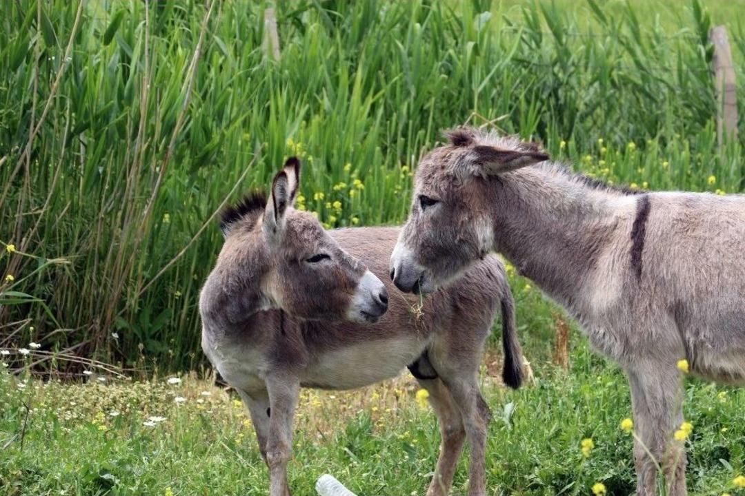 (&ouml;zel Haber) T&uuml;rkiye&rsquo;yi &Uuml;rk&uuml;ten Tablo