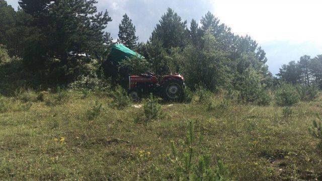 Tosya’da Traktör Devrildi: 1 Yaralı