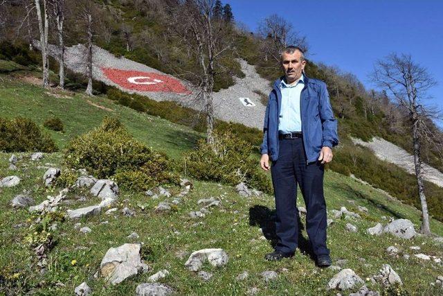 (özel Haber) Dikmen Yaylası’na Atatürk Resmi Ve Türk Bayrağı Çizdi