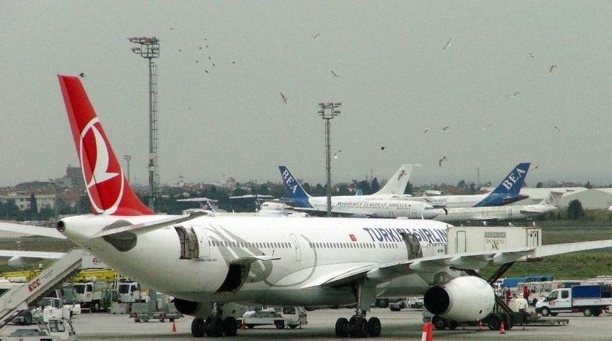 Atat&uuml;rk Havalimanı&rsquo;nda Yemek Y&uuml;klenen U&ccedil;ağa Martılardan Yoğun İlgi