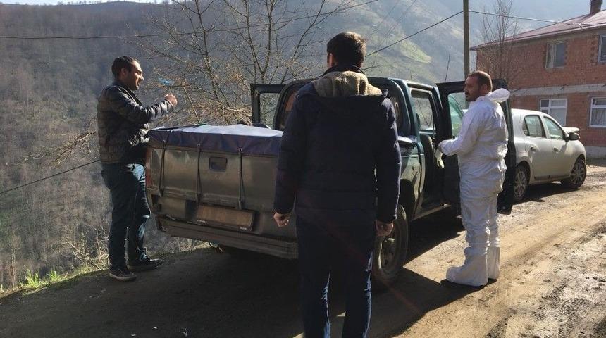 Trabzon&rsquo;da Şarbon Paniği S&uuml;r&uuml;yor