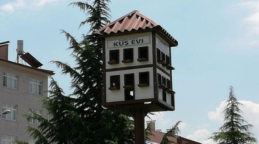 Safranbolu Evi Tarzında Kuş Yuvası