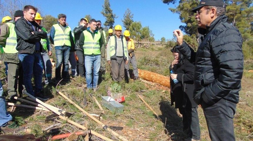 Bozdoğan&rsquo;da Silvik&uuml;lt&uuml;r Tatbikatı Yapıldı