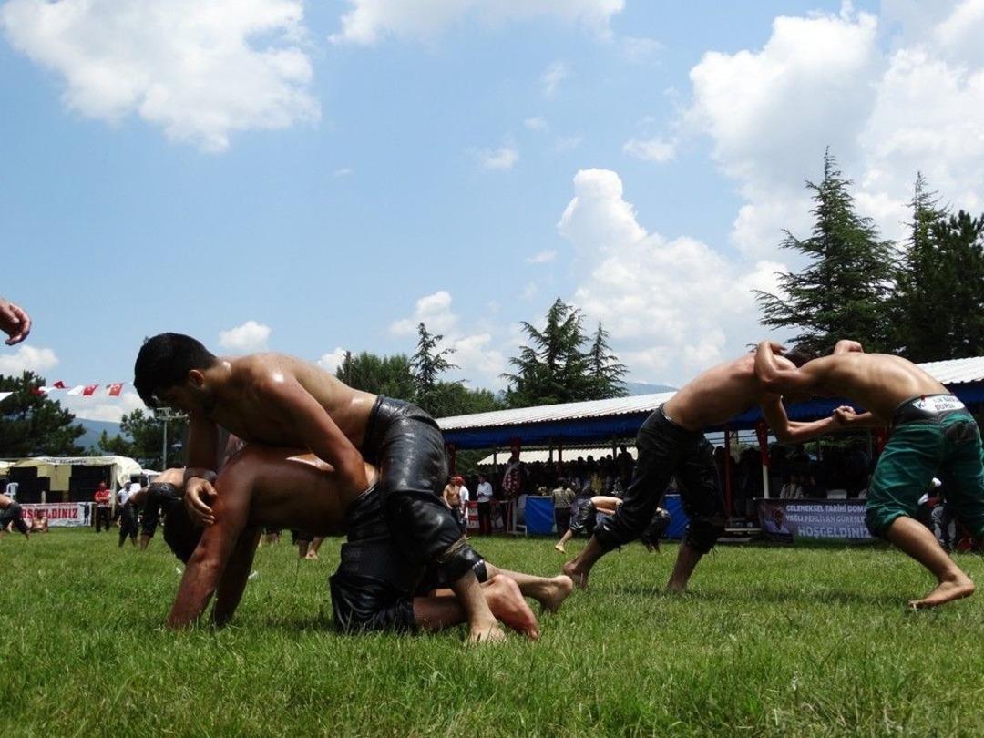 Domani&ccedil; G&uuml;reşlerinin Başpehlivanı Ali G&ouml;k&ccedil;en Oldu