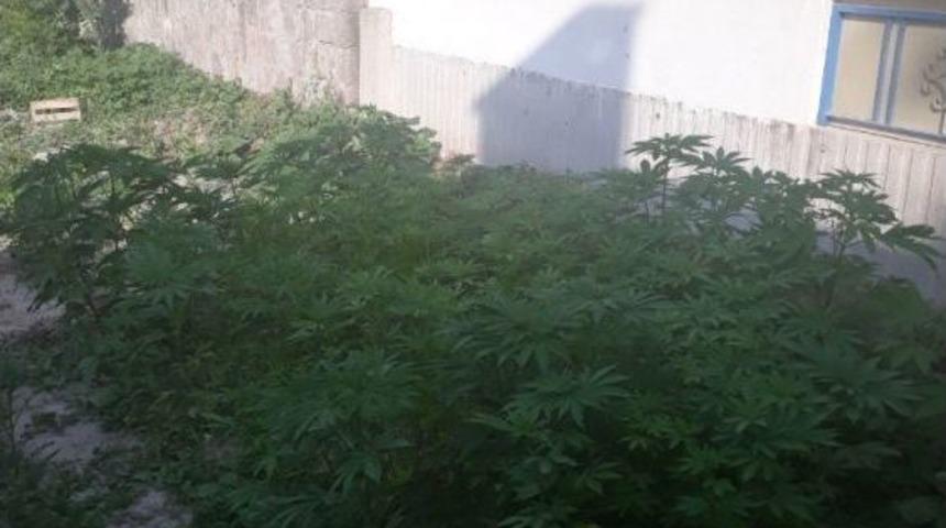 Hint Keneviri Eken Afgan G&ouml;zaltına Alındı