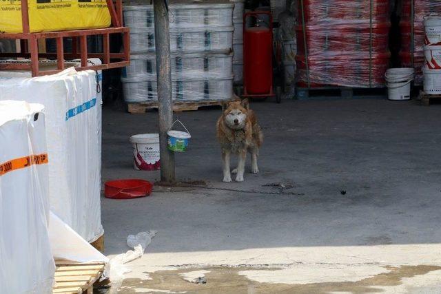 Antalya’da İzolasyon Malzeme Deposundaki Yangın Korkuttu