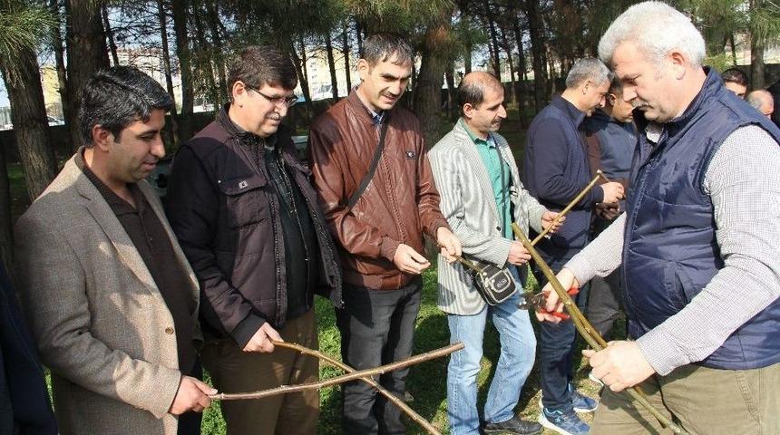Adıyaman&rsquo;da Aşılama Eğitimi Verildi