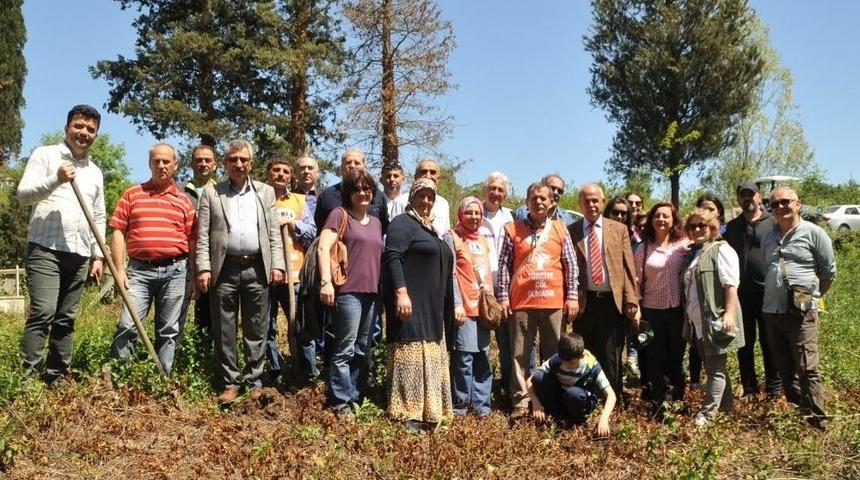 Bafra&rsquo;da U&ccedil;urtma Şenliği D&uuml;zenlendi