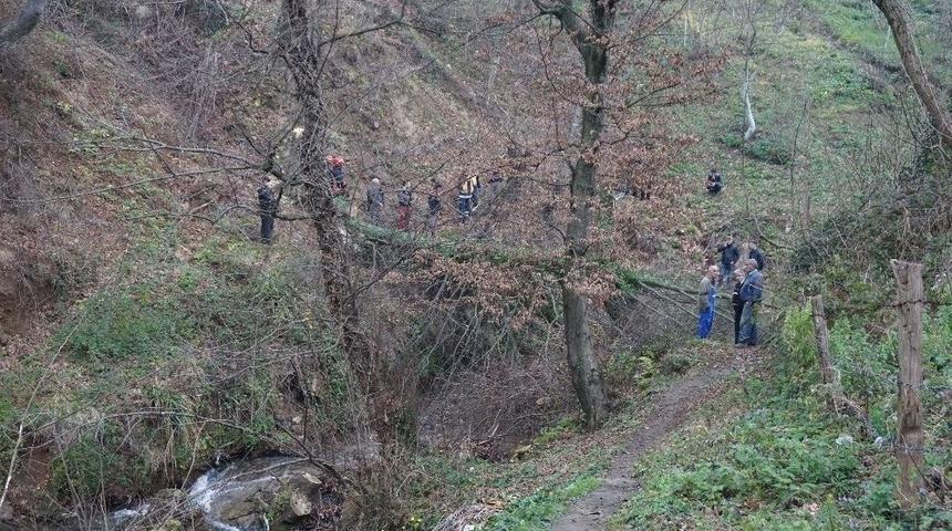 Ağa&ccedil; Keserken Kalp Krizi Ge&ccedil;iren Yaşlı Adam Hayatını Kaybetti