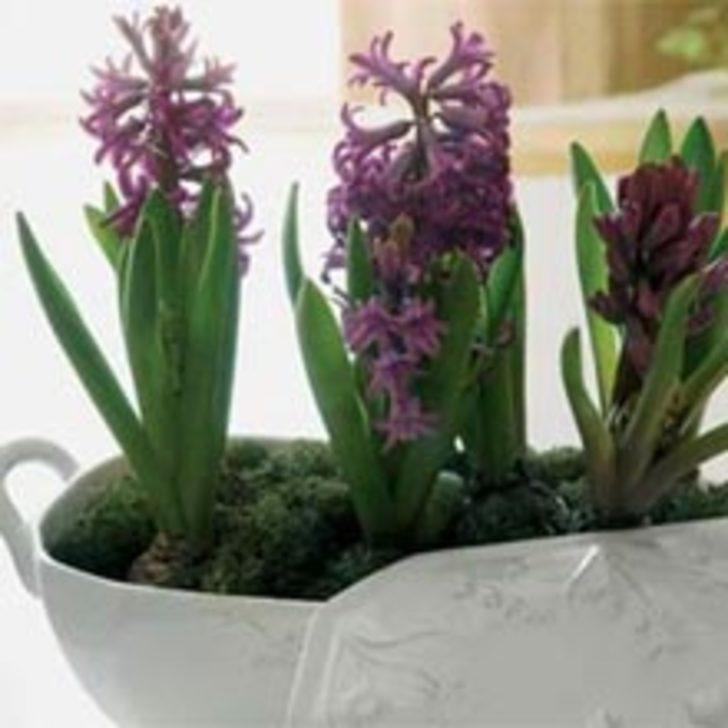 Eko-Yaşam İ&ccedil;in 10 Yol