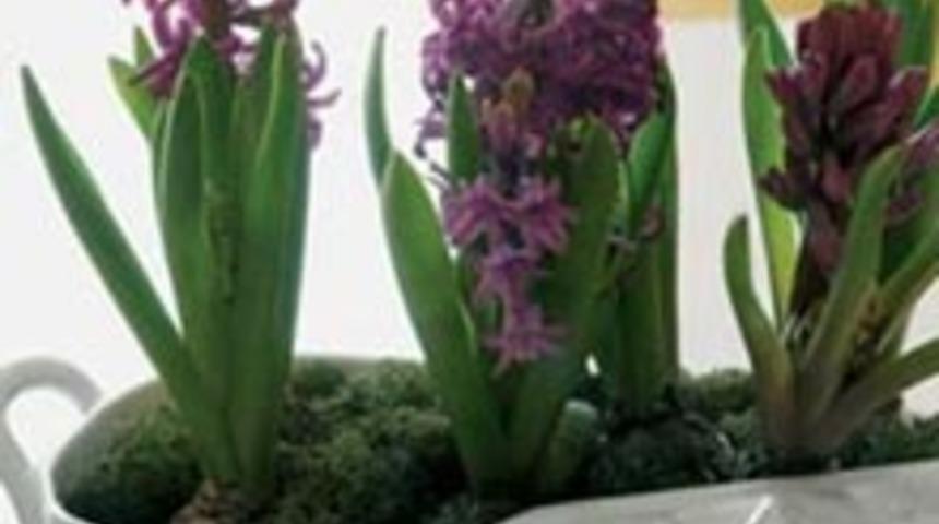 Eko-Yaşam İ&ccedil;in 10 Yol