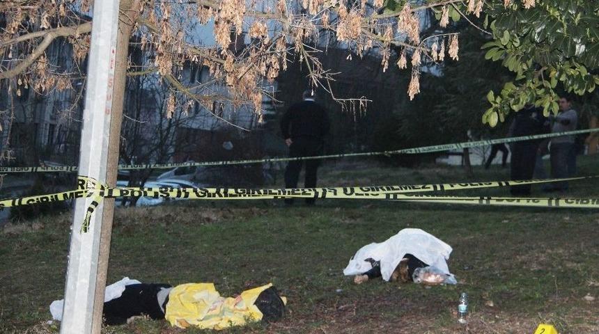 D&uuml;zce&rsquo;de Cinayet: 2 &Ouml;l&uuml;