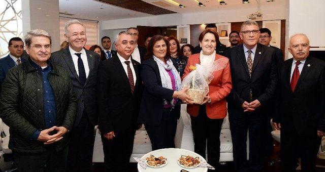 Meral Akşener; “topuklu Efe, Özlem Hanıma Yakışıyor”