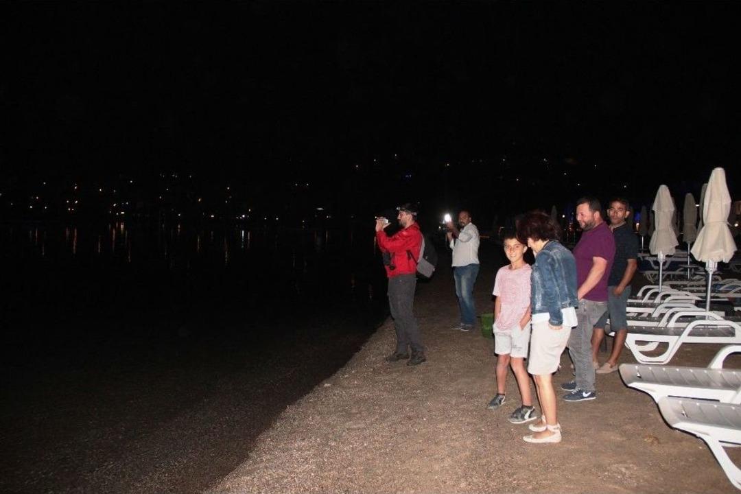 Denizde Siyah Kuğuyu G&ouml;ren Vatandaşlar Şok Oldu