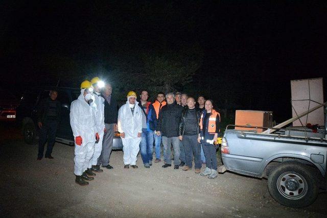 Karıncalara Gece Yarısı Operasyonu 1