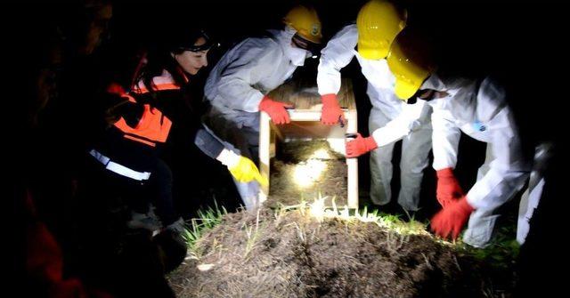 Karıncalara Gece Yarısı Operasyonu 2