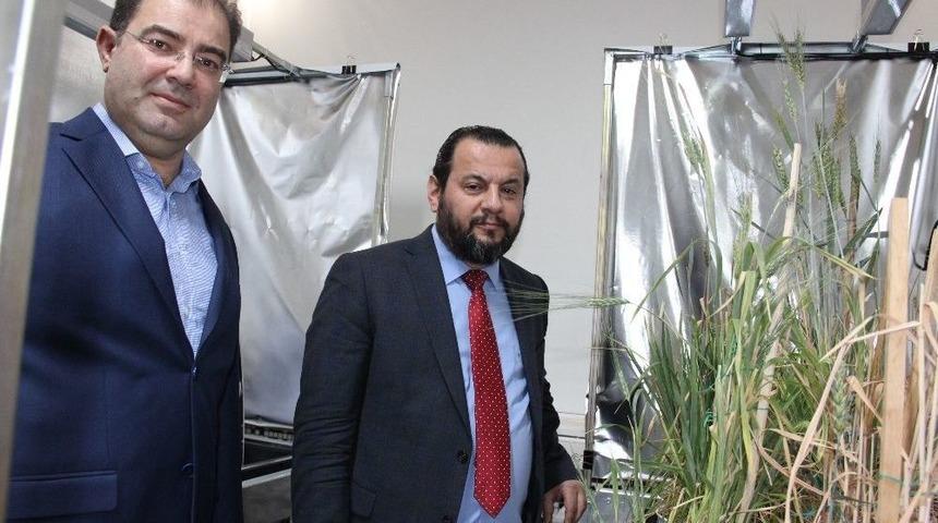 T&uuml;rkiye&rsquo;de İlk Hızlı Bitki Islahı Km&uuml;&rsquo;de Hayata Ge&ccedil;irildi