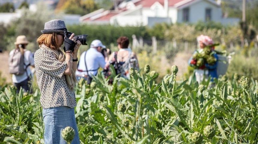 2 &Uuml;lke, 1 Kamera