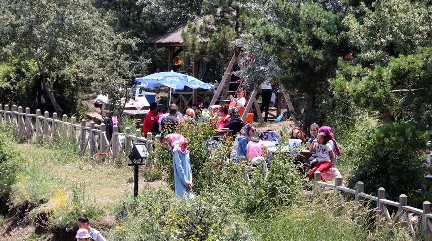 Yozgat’ta Oyunu Kullanan Vatandaş Pikniğe Koştu