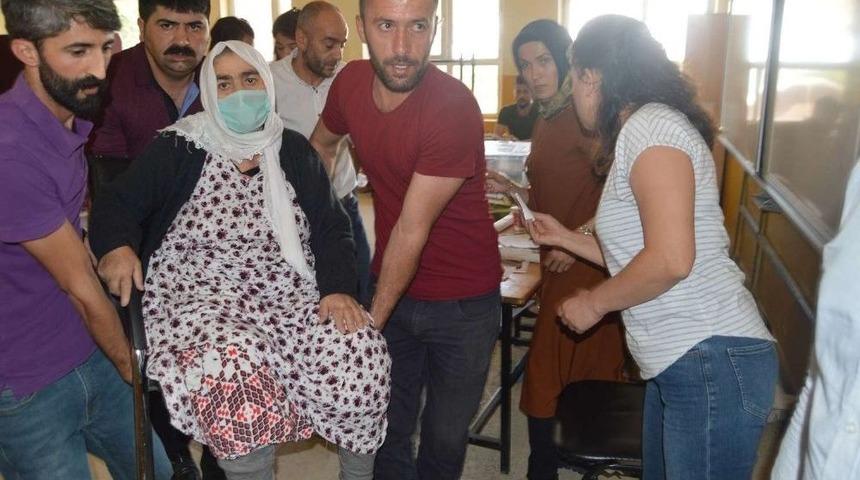 Yatalak Haliyle Oy Kullanmaya Geldi