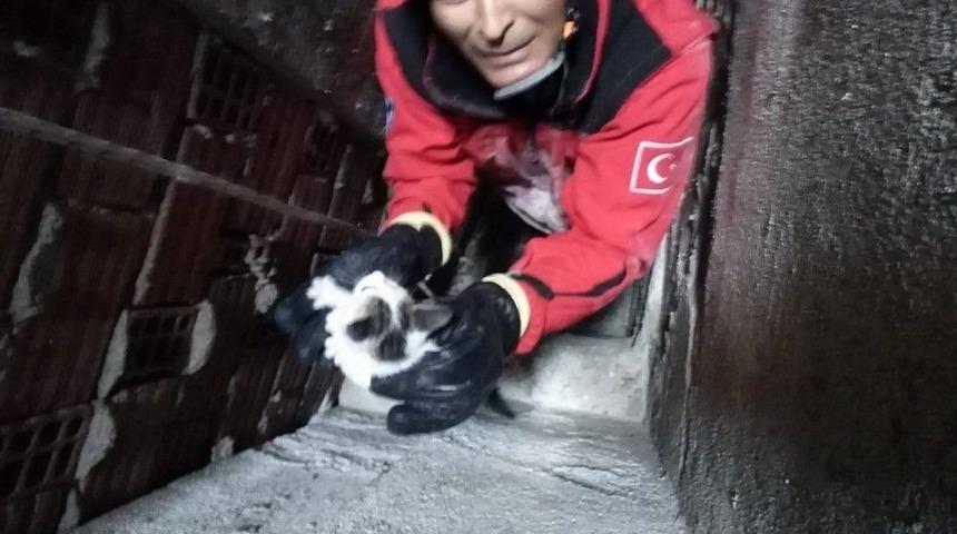 Burhaniye&rsquo;de İtfaiyeden Kedi Kurtarma Operasyonu