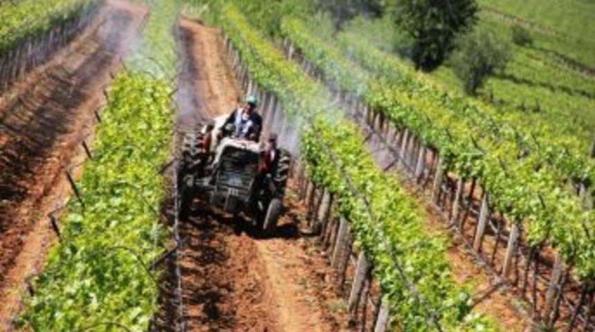 Verimi D&uuml;ş&uuml;k Olan &Uuml;z&uuml;mde Kaliteyi Artıracaklar