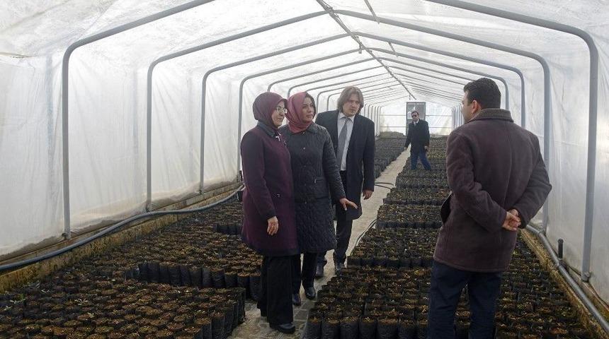 Meram&rsquo;dan Tasarruflu &Uuml;retim