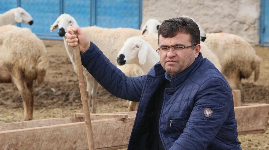 (&ouml;zel Haber) Aksaraylı &Uuml;reticiler Mera Hayvanlarının Masraflarından Şikayet&ccedil;i