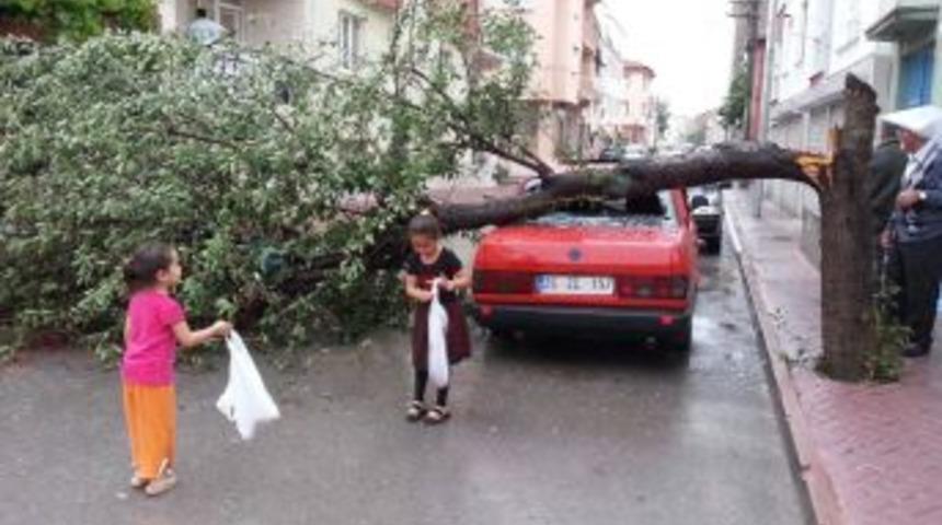 Aşırı Yağış Ve Rüzgar Ağacı Otomobilin Üstüne Devirdi