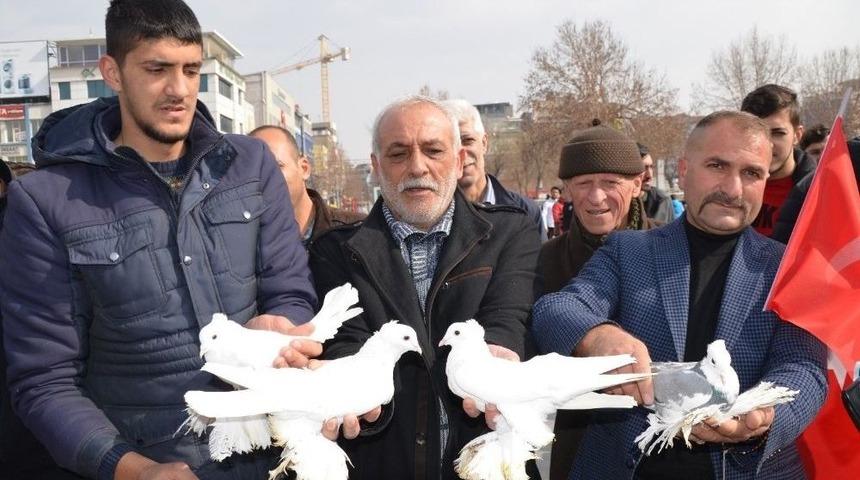 Bin Güvercin Mehmetçik İçin Havalandı