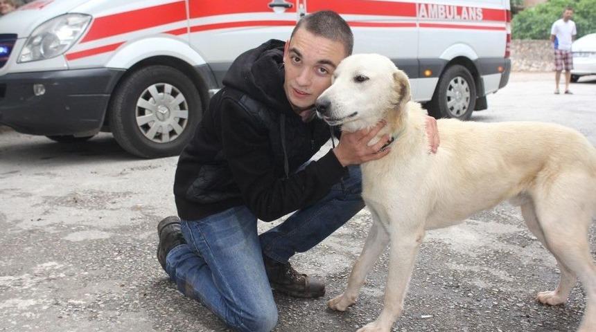 K&ouml;peğini Kurtarmak İsterken Mahsur Kaldı