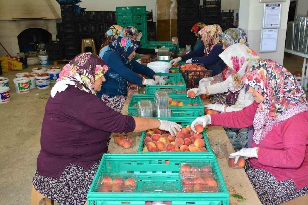Matso Başkanı Ahmet Boztaş &ldquo;manavgat Meyvecilikte De Adından S&ouml;z Ettirecek&rdquo;