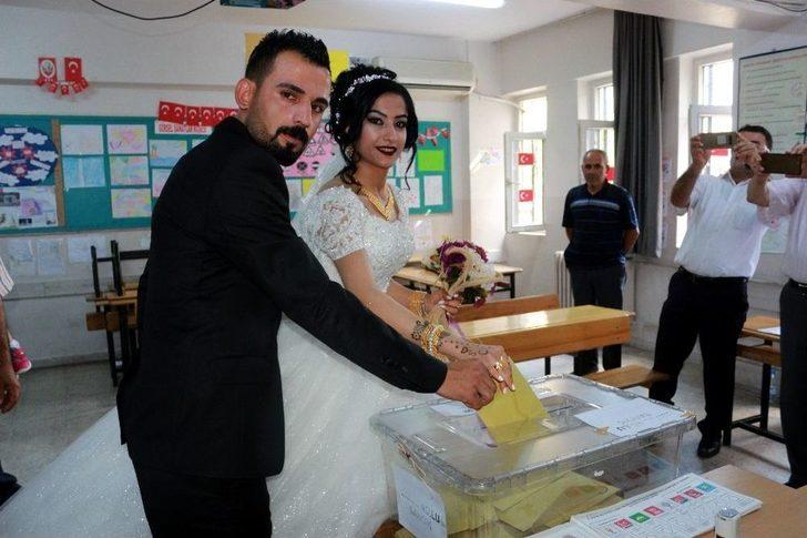 Gelin Damat Zılgıtlarla Sandık Başına Gitti G1