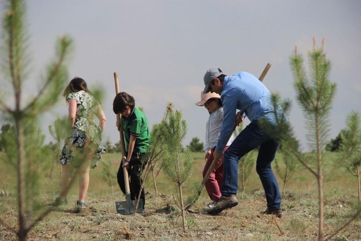 A&ccedil;ık&ouml;ğretim Ormanları B&uuml;y&uuml;meye Devam Ediyor