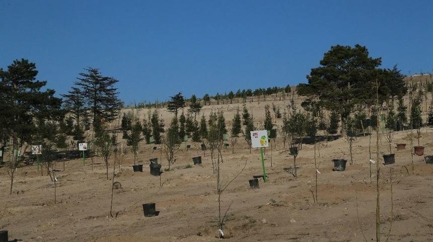 B&uuml;y&uuml;kşehir&rsquo;den Geleceğe Miras