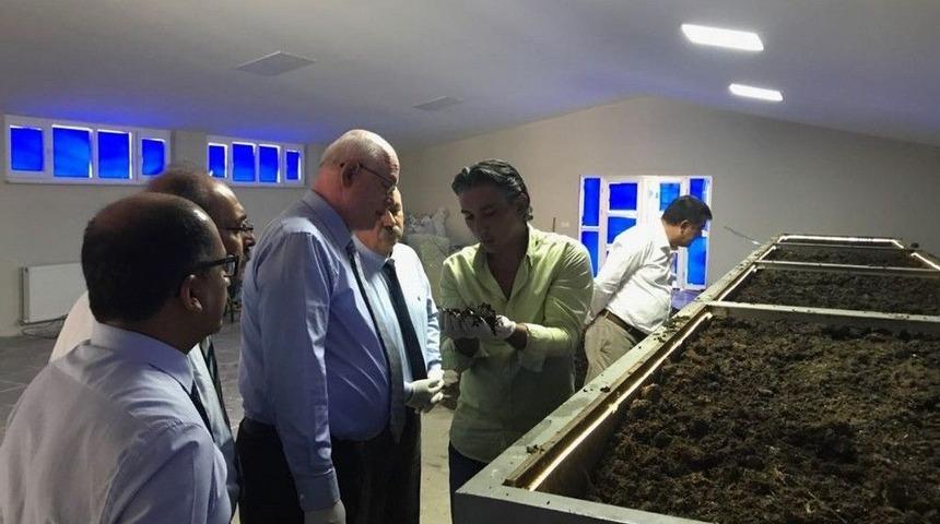 Odunpazarı&rsquo;ndan &rsquo;solucan G&uuml;bresi Eğitimi&rsquo;