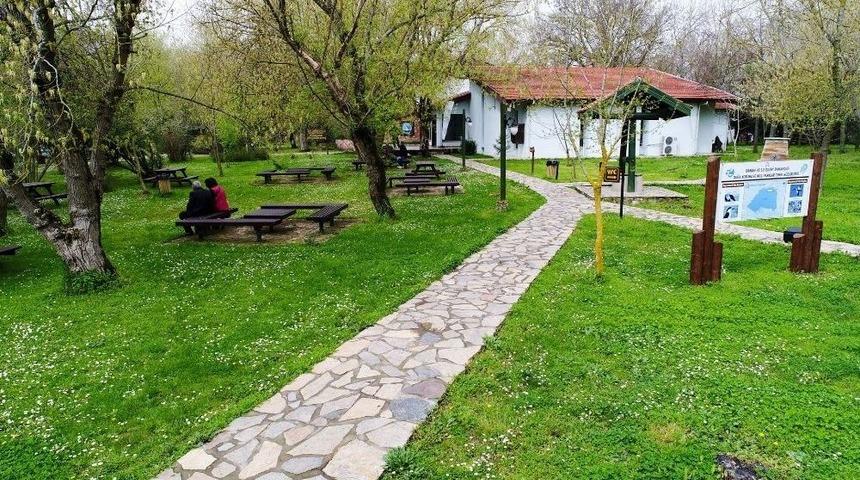 70&rsquo;e Yakın Kuş T&uuml;r&uuml; &Uuml;reme D&ouml;nemi İ&ccedil;in Kuş Cenneti&rsquo;ne Geliyor