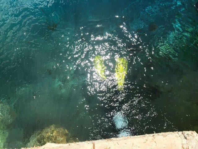 Bozkırın Nazar Boncuğuna Temizlik 1