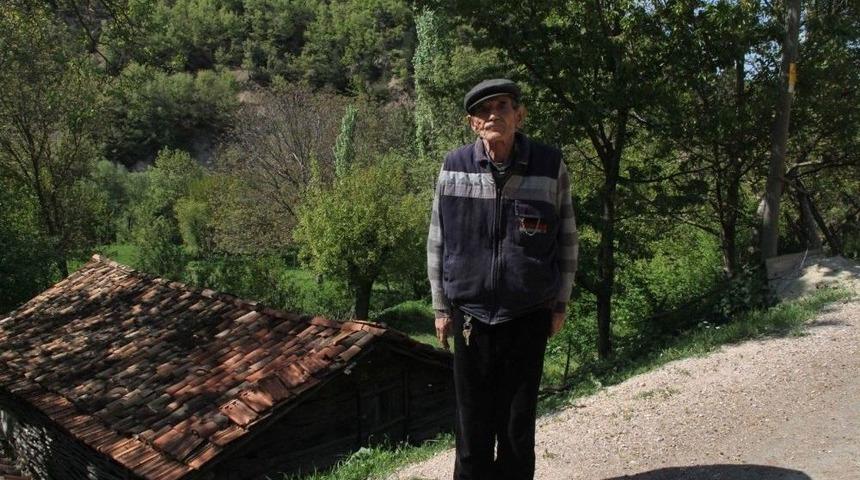 Ceviz &Uuml;reticisini Don Vurdu