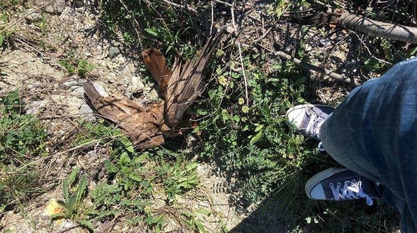 Ankaralı Avukattan &Ouml;rnek Davranış