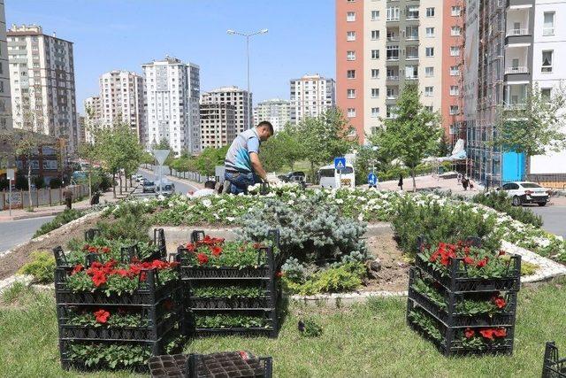 Talas 70 Bin Çiçek Ve 50 Bin Fidanla Süslendi