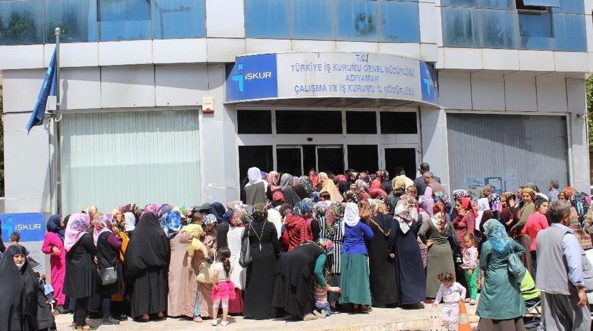 Typ Başvurularına Yoğun İlgi