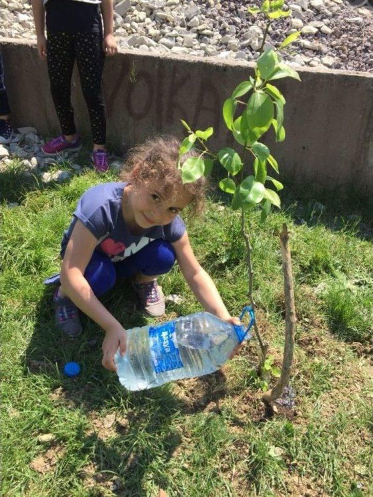Kaynarca’da Anaokul Öğrencileri Fidan Dikti G5