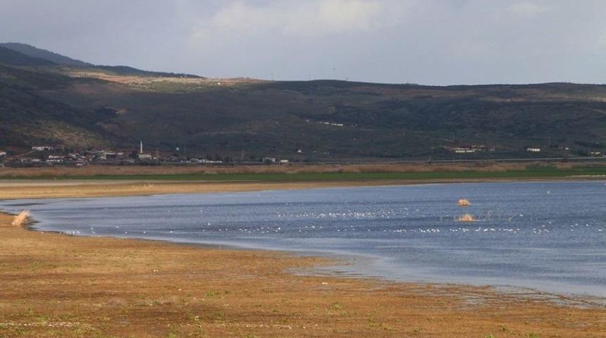Marmara G&ouml;l&uuml;n&uuml;n Suyu &Ccedil;ekildi Balık&ccedil;ıl Kuşlarının Sayısı Arttı