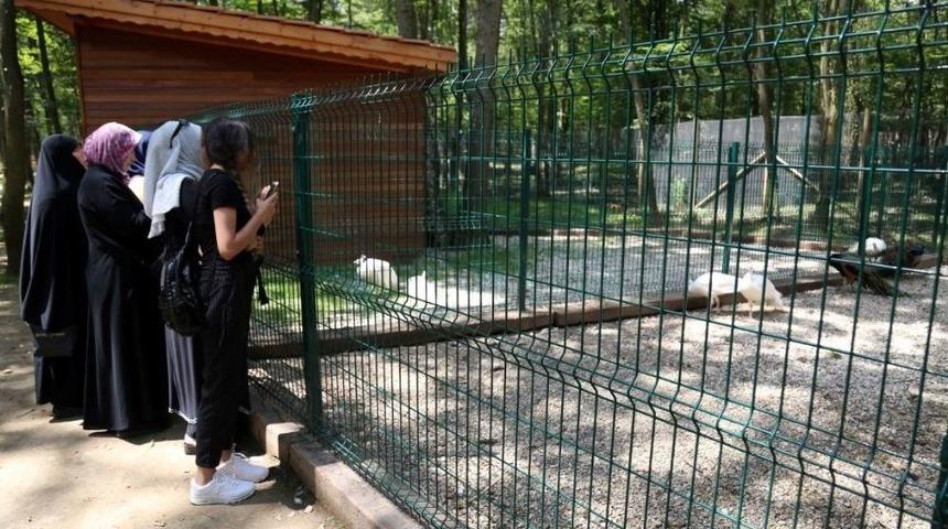 Gez-gör İle ’doğa Kocaeli’ Turuna Katıldılar