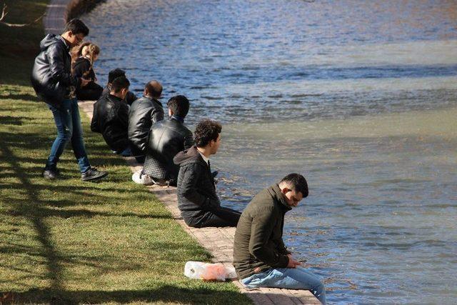 Porsuk&rsquo;ta Bahardan Kalma G&ouml;r&uuml;nt&uuml;ler 1