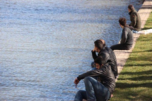 Porsuk&rsquo;ta Bahardan Kalma G&ouml;r&uuml;nt&uuml;ler 3