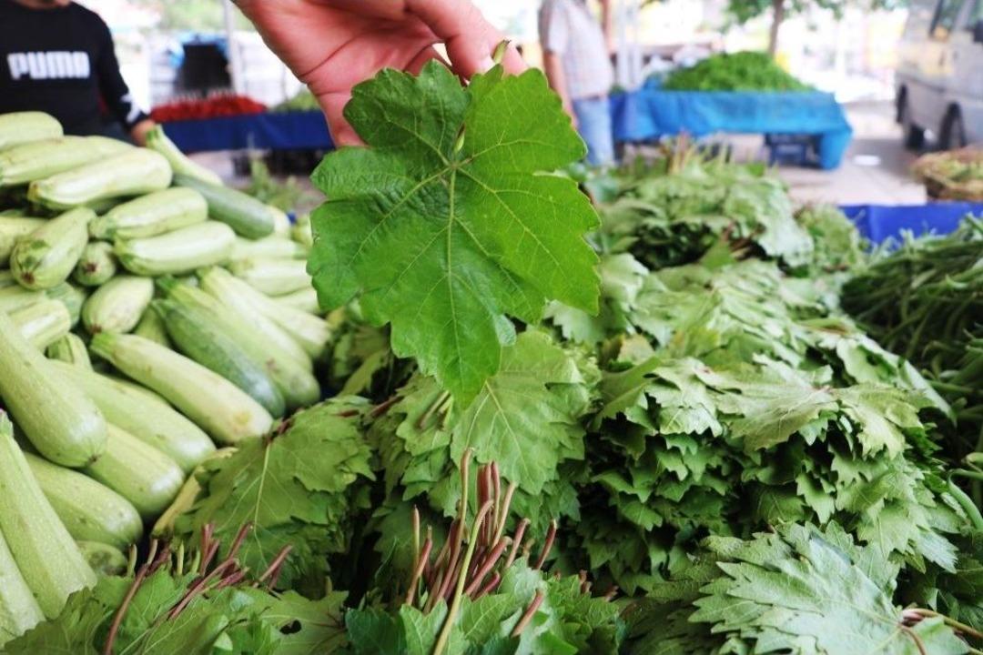 Yeşil Nohut, Sarmalık Yaprak Ve Sarımsakta İlk Mahsul Tezgahlardaki Yerini Aldı
