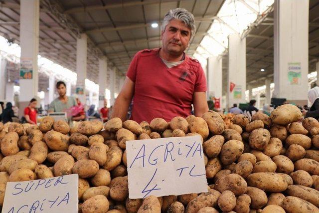 Nevşehir Ziraat Odası Başkanı Çelikbaş: 